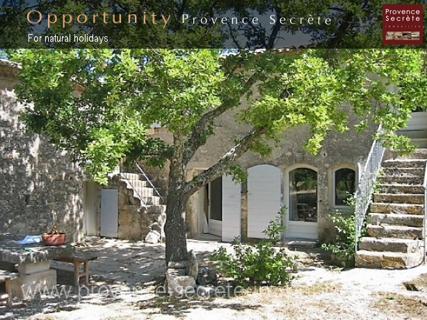 Luberon, sheepfold for rent in Lacoste with swimming pool 15 x 5 meters